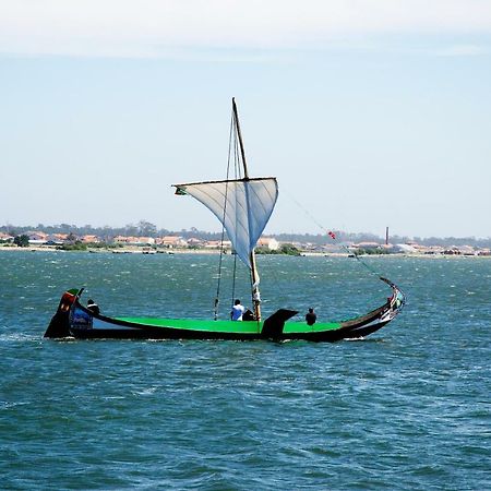 Sailing Apartment Αβέιρο Εξωτερικό φωτογραφία